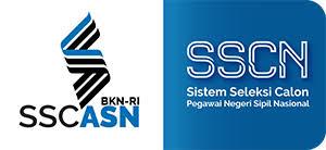 Fitur-Fitur Portal SSCASN Yang Perlu Diketahui Peserta CPNS Dan CPPPK 2021